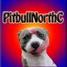 PitbullNorthC